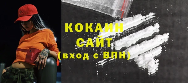 ГАЛЛЮЦИНОГЕННЫЕ ГРИБЫ Арсеньев