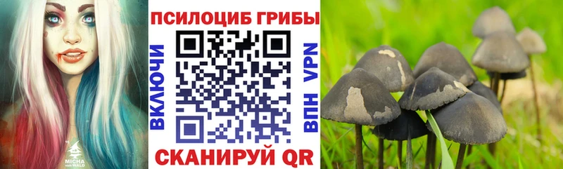 Псилоцибиновые грибы мицелий  купить закладку  shop клад  Лесозаводск 